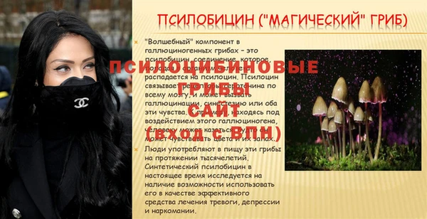 ПСИЛОЦИБИНОВЫЕ ГРИБЫ Зеленокумск