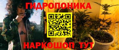 твердый Кингисепп