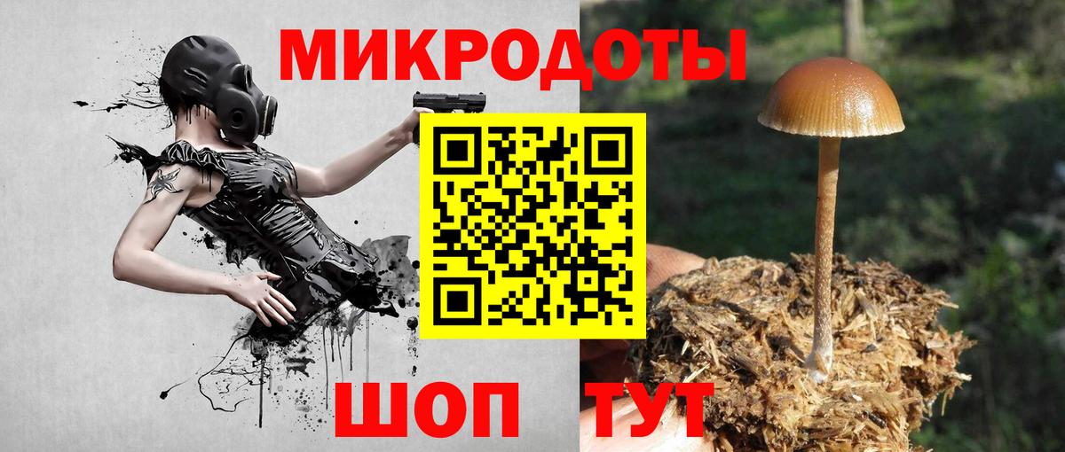 купить наркотики сайты  Вход с VPN  Галлюциногенные грибы Psilocybine cubensis  Чита  Галлюциногенные грибы мухоморы 