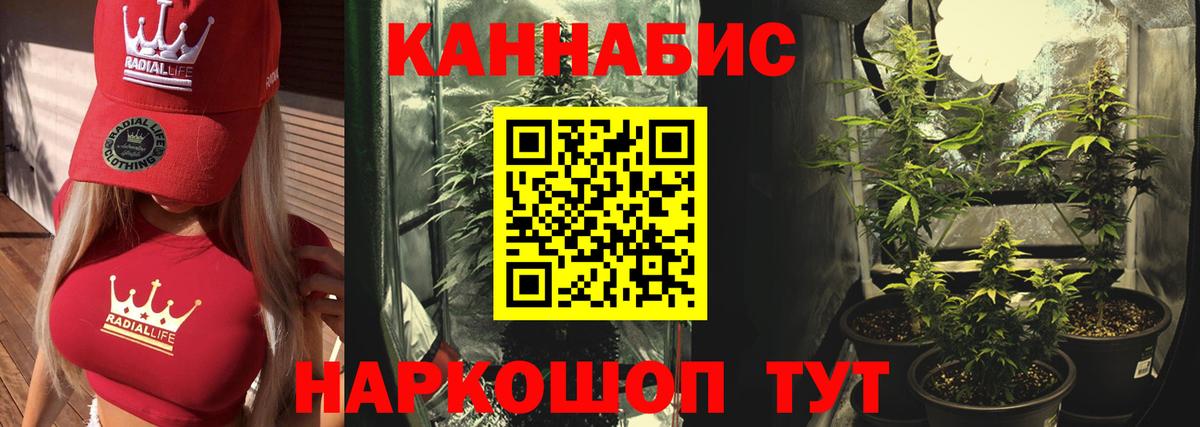 Чита  Шишки марихуана конопля  Шишки марихуана планчик  Вход с VPN  Канабис Amnesia 