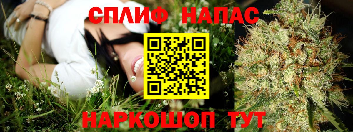 Бошки Шишки план Чита